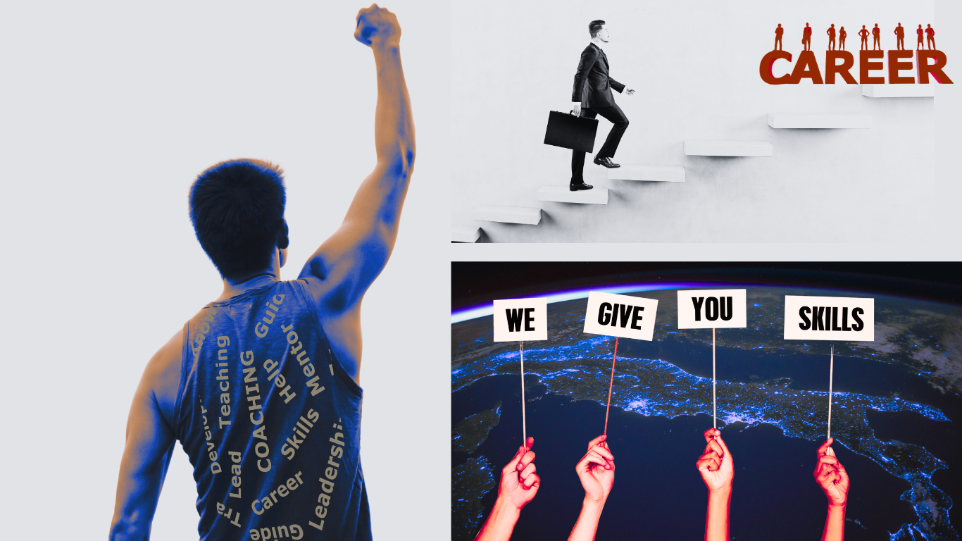 LeadWise mentorship and learning